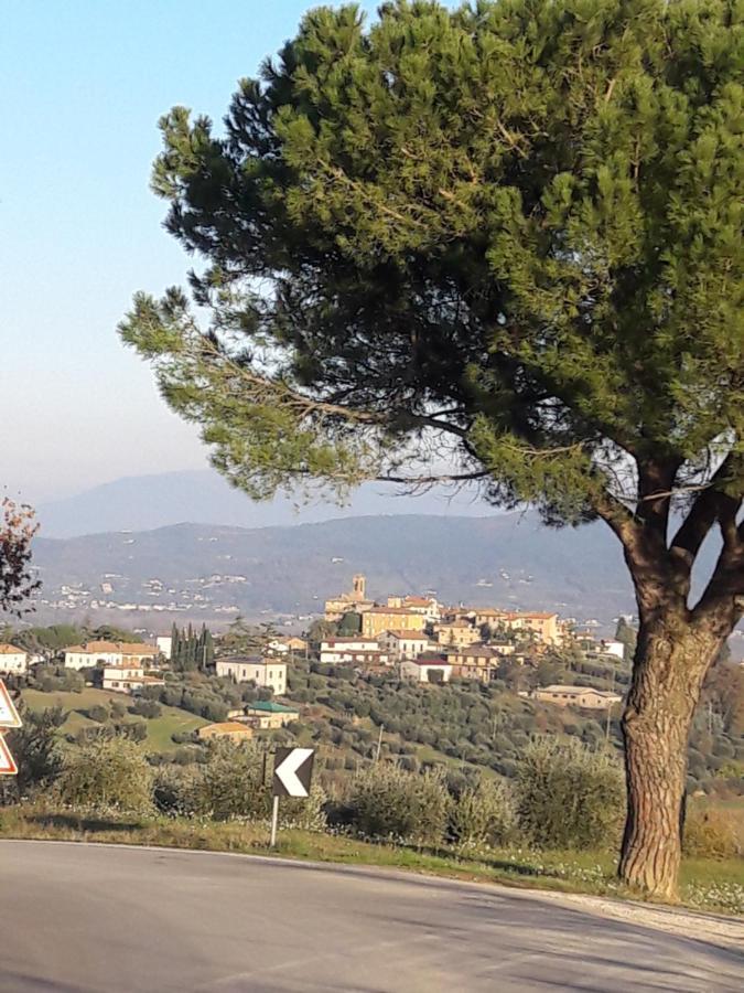 B&B Cum Grano Salis Castello delle Forme Exteriör bild
