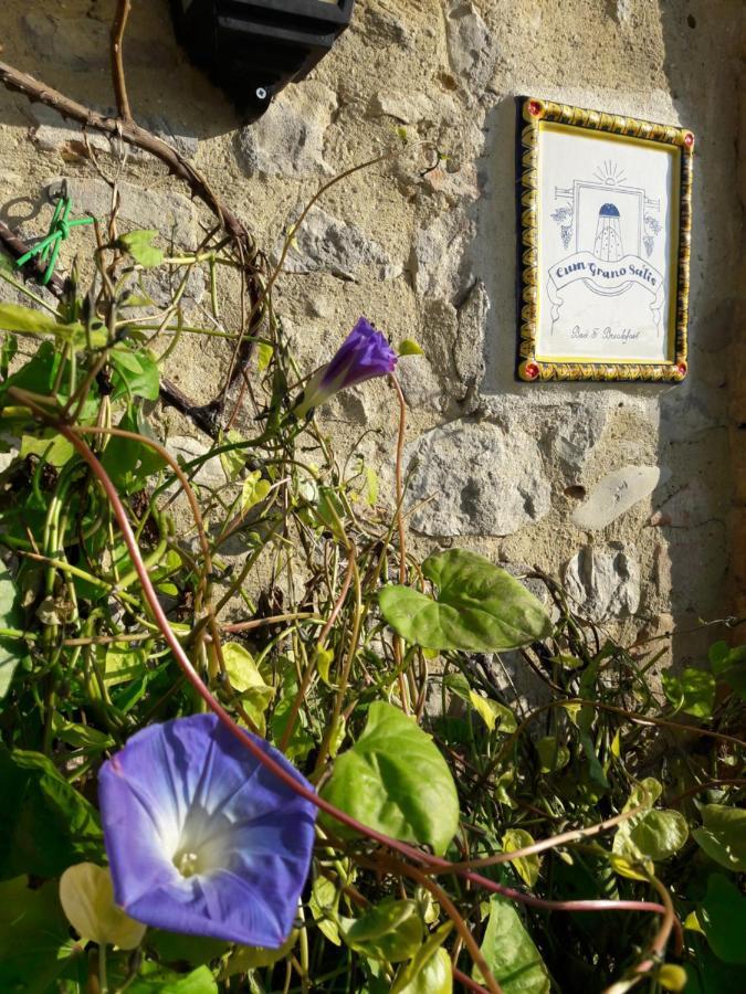 B&B Cum Grano Salis Castello delle Forme Exteriör bild